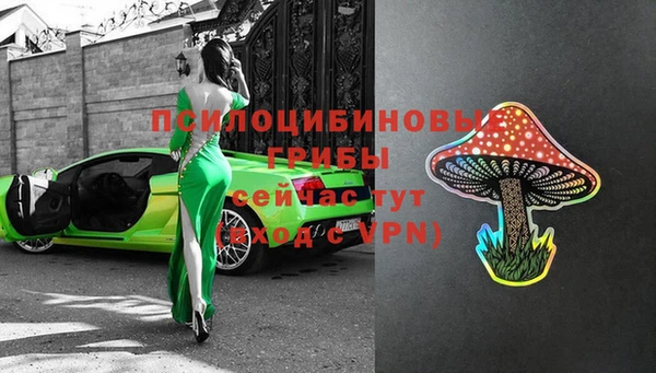 СК Дмитров