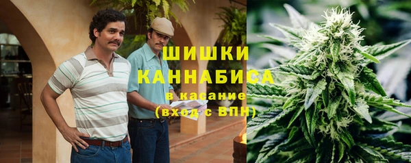 мдма Гусиноозёрск