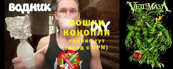 молекула духа Гусь-Хрустальный