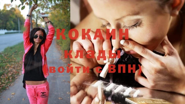 гашиш Дмитриев