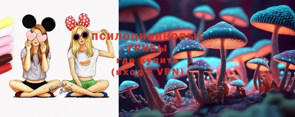 гашиш Дмитриев