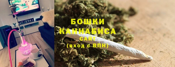 СК Дмитров
